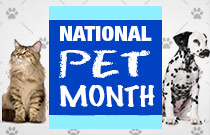 Retrieve National Pet Month Deals at FlexOffers.com!