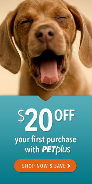 FlexOffers.com affiliate marketing sales promotional discount savings deals banner blog Pet Appreciation Week 