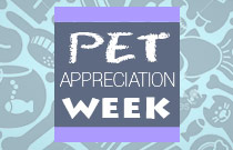 Pet Appreciation Week Promos at FlexOffers.com