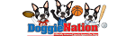 DoggieNation, FlexOffers.com, affiliate, marketing, sales, promotional, discount, savings, deals, banner, blog,