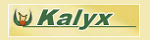 Kalyx.com, FlexOffers.com, affiliate, marketing, sales, promotional, discount, savings, deals, banner, blog,