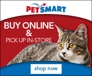 National Cat Day Deals