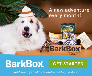 FlexOffers.com, affiliate, marketing, sales, promotional, discount, savings, deals, bargain, banner, blog, National Puppy Day Discounts, National Puppy Day, puppy, dog, pets, BarkBox, subscription, Tile, tech, Bluetooth, tracker, thoughtfully.com, gifts, gift sets, PetCareRx, medicine, Dog.com, Kohls Department Stores Inc, department stores