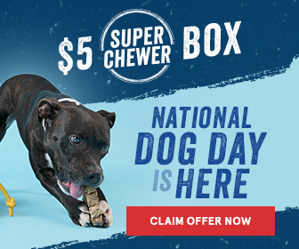 FlexOffers.com, affiliate, marketing, sales, promotional, discount, savings, deals, bargain, banner, blog, National Dog Day 2018 Rebates, National Dog Day, Dog Day, dog, puppy, pupper, Super Chewer, Good Life® Bark Control, PETCO Animal Supplies, Petsuppliesly, PetCareRx, Dog.com, animals, pets, pet accessories, training, pet care, medical supplies