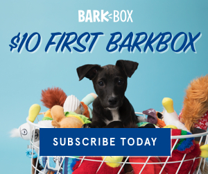 Pawsome National Puppy Day Markdowns