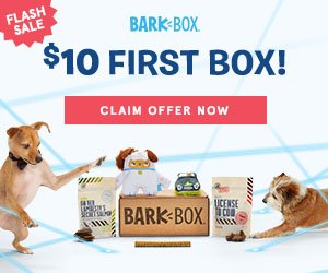 FlexOffers.com, affiliate, marketing, sales, promotional, discount, savings, deals, bargain, banner, blog, BarkBox, Super Chewer, Good Life® Bark Control, Chewy.com, PETCO Animal Supplies, Loews Hotels (US), dogs, pets, puppy, National Puppy Day, Puppy Day, Fetching National Puppy Day Offers, travel, hotels