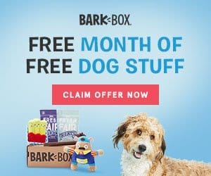 FlexOffers.com, affiliate, marketing, sales, promotional, discount, savings, deals, bargain, banner, blog, BarkBox, Super Chewer, Petmate, VetPet Box, PETCO Animal Supplies, Best Western, National Pet Day, dogs, cats, fish, snakes, toys, pet essentials, treats, vet, pet medicine, travel, hotels, subscription boxes, subscription