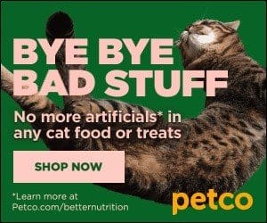 FlexOffers.com, affiliate, marketing, sales, promotional, discount, savings, deals, bargain, National Cat Day, PETCO Animal Supplies, Chewy.com, Rover Petcare, VetPet Box, EPRX.com, N8 Essentials, cat food, cat treats, Halloween costume, cat sitter, toys, treats, medicine, prescription, cat,