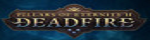 Pillars of Eternity II: Deadfire Affiliate Program