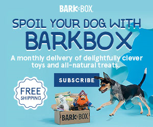 FlexOffers.com, affiliate, marketing, sales, promotional, discount, savings, deals, bargain, banner, blog, National Puppy Day Bargains, BarkBox, Hulu, Chewy.com, PetCareRX, Bissell, Purple, chew toys, movies, dry dog food, pet care, health, vacuums, dog beds