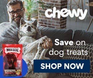 FlexOffers.com, affiliate, marketing, sales, promotional, discount, savings, deals, bargain, banner, blog, Chewy.com, BarkBox, Petco Animal Supplies, Rover Pet SITTERS, Super Chewer, International Open Academy | Online Courses, toys, treats, apparel, pet sitter, food, drink, pet care, school, course, class