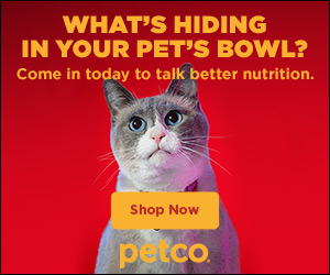Paw-some International Cat Day Rebates