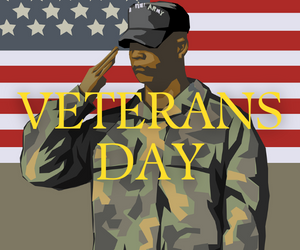 Veterans day deals rochester ny 2024