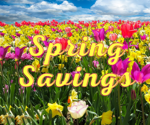 Exciting Spring Discounts