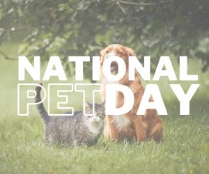 Paw-some National Pet Day Offers