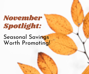 FlexOffers.com, affiliate marketing, promotional, seasonal savings, November spotlight services, promotional blog, Lego MX affiliate program, Franklin Planner affiliate program, ISSA affiliate program, Wacoal America affiliate program, PayPal US affiliate program, WebEyeCare affiliate program, Olive Young affiliate program, Wicked Good Cupcakes affiliate program, Wayfair North America affiliate program, Reverb affiliate program